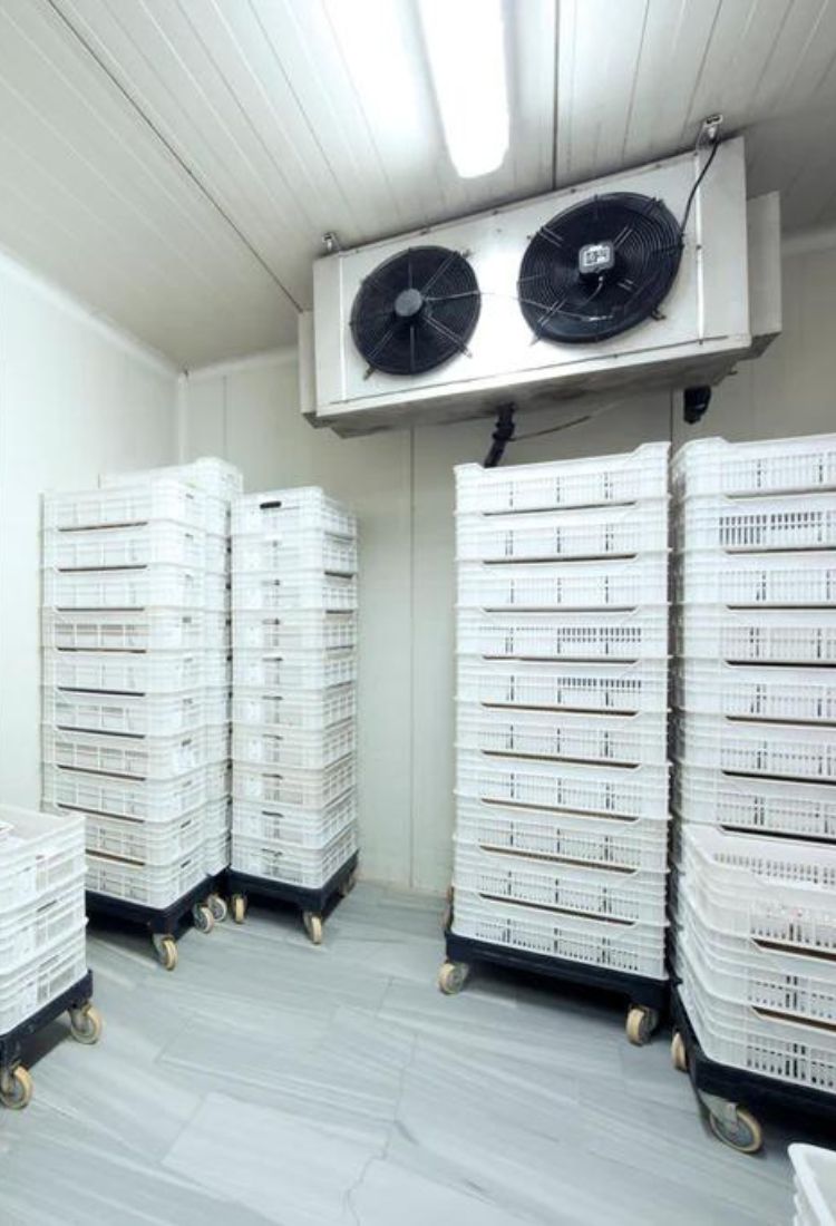 Reparación y Mantenimiento en Refrigeración Comercial e Industrial